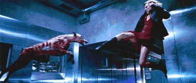 十大值得观看的丧尸电影,一部天花板级别的丧尸剧