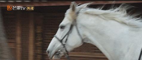 国产科幻电影三体,国产剧三体评分