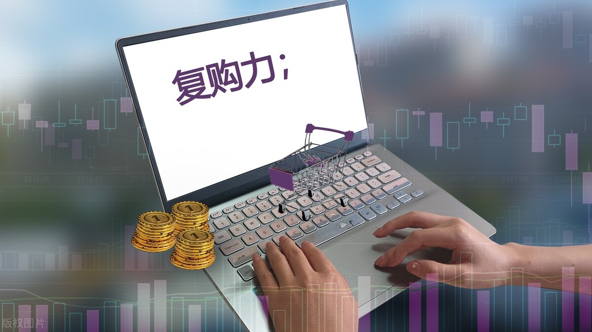 每日分红模式,分红模式成功案例