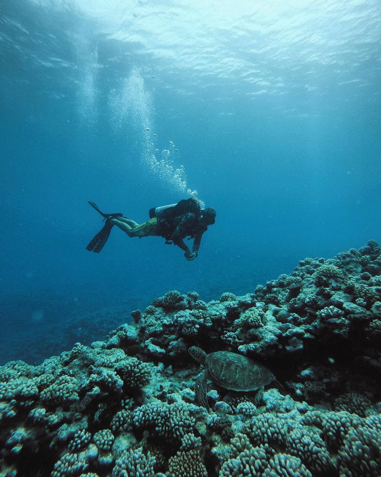 国外美女姐姐海里偶遇一只小鱼，竟引发神奇友谊！网友：前世情人