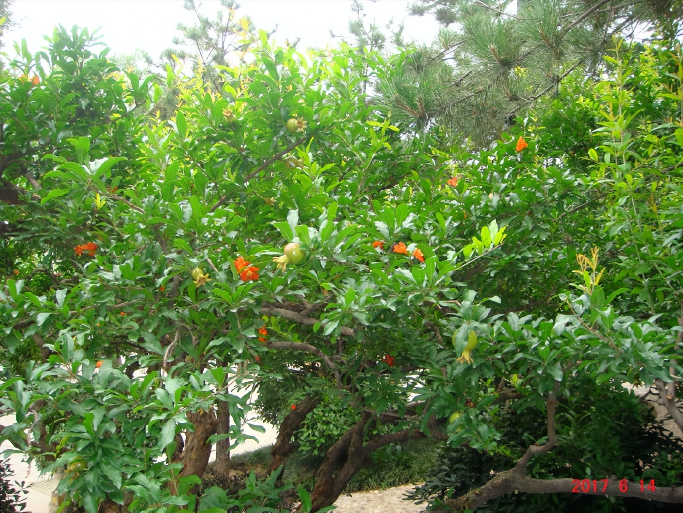 中国自驾西伯利亚的路线地图,2017年朝鲜之旅