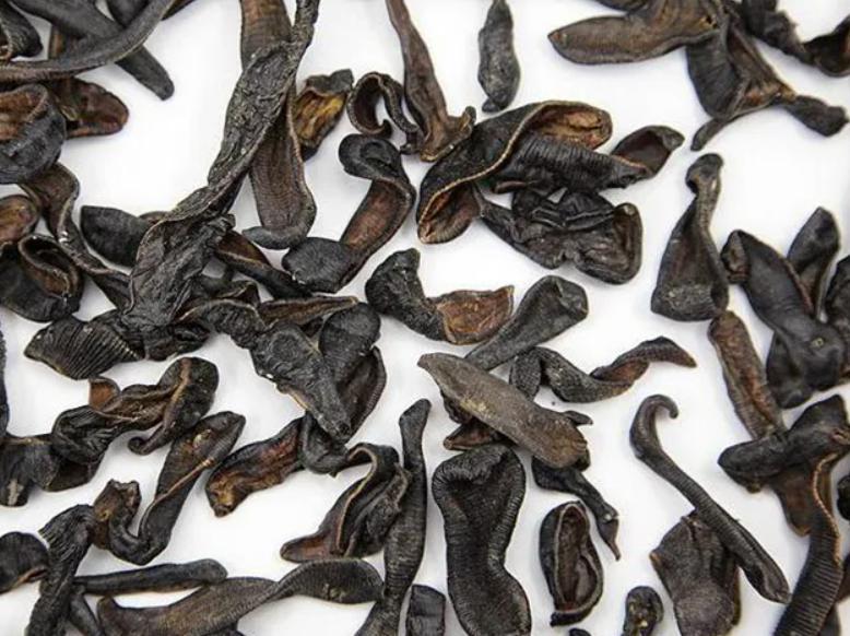 男孩喝生水取出蚂蟥,云南5岁男孩取出蚂蝗