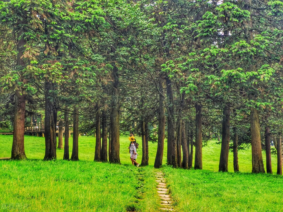 武隆仙女山两日游攻略自由行,武隆仙女山自由行攻略