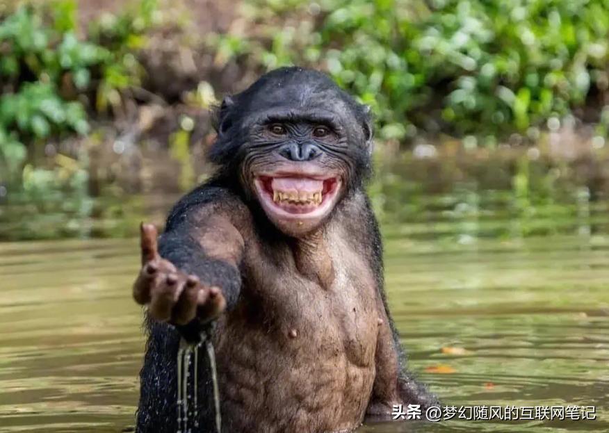 跟我学编程13:mysql索引失效or的场景