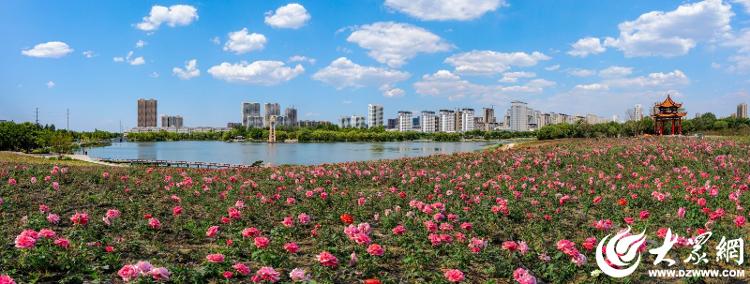 潍坊宝藏打卡地,潍坊宝藏