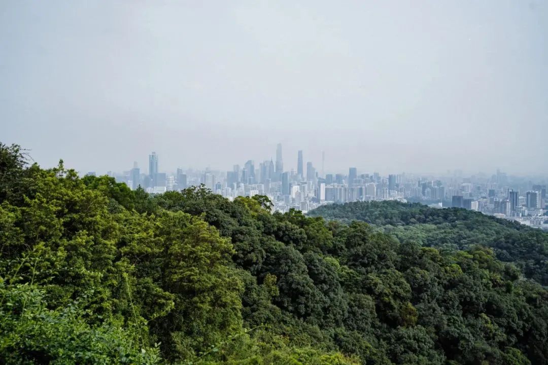 在白云山上俯瞰整个广州城,广州白云山变化