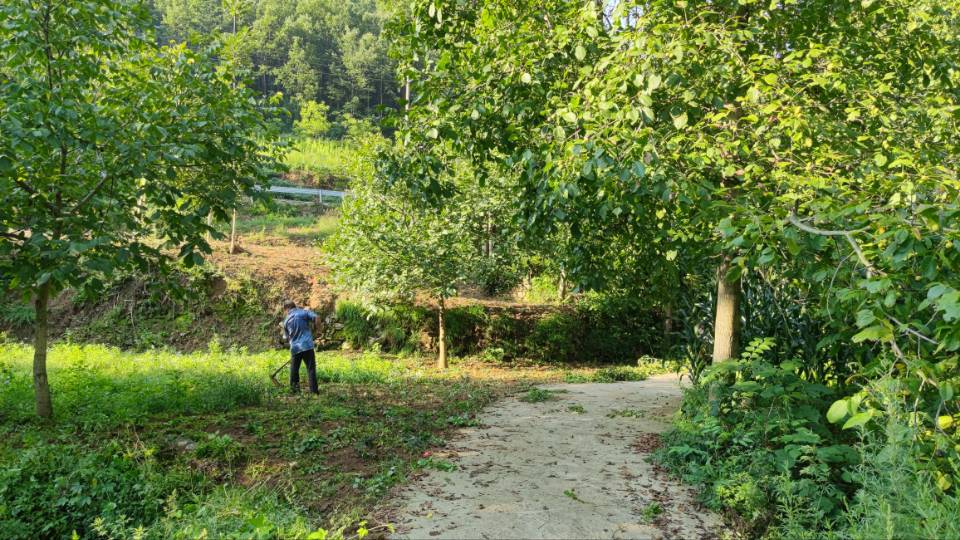 秦岭山里商洛人,秦岭商洛大山里