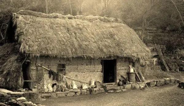 人丑就命苦吗,人丑运气差