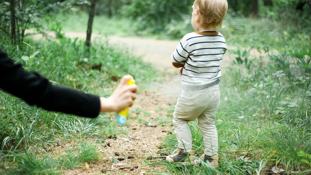夏日带孩子户外活动当心这种虫,暑期带娃小心毒虫
