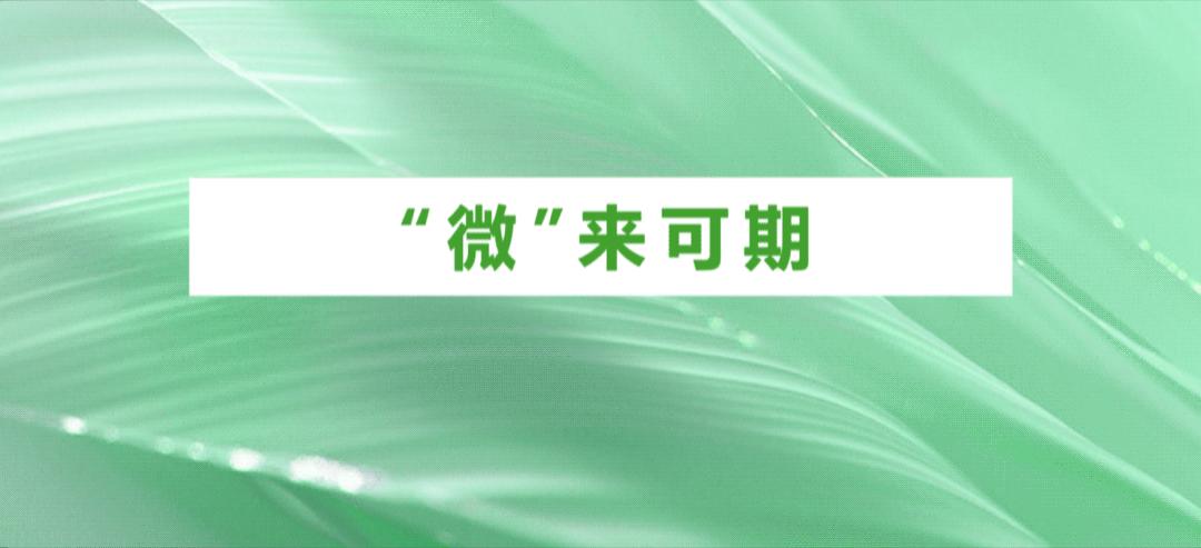 你相信光吗？微软守护6%的熹微，照亮更广阔的前方