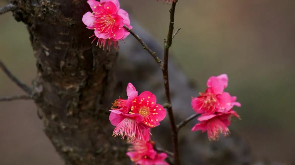 微头条学习写作,微头条写作学习