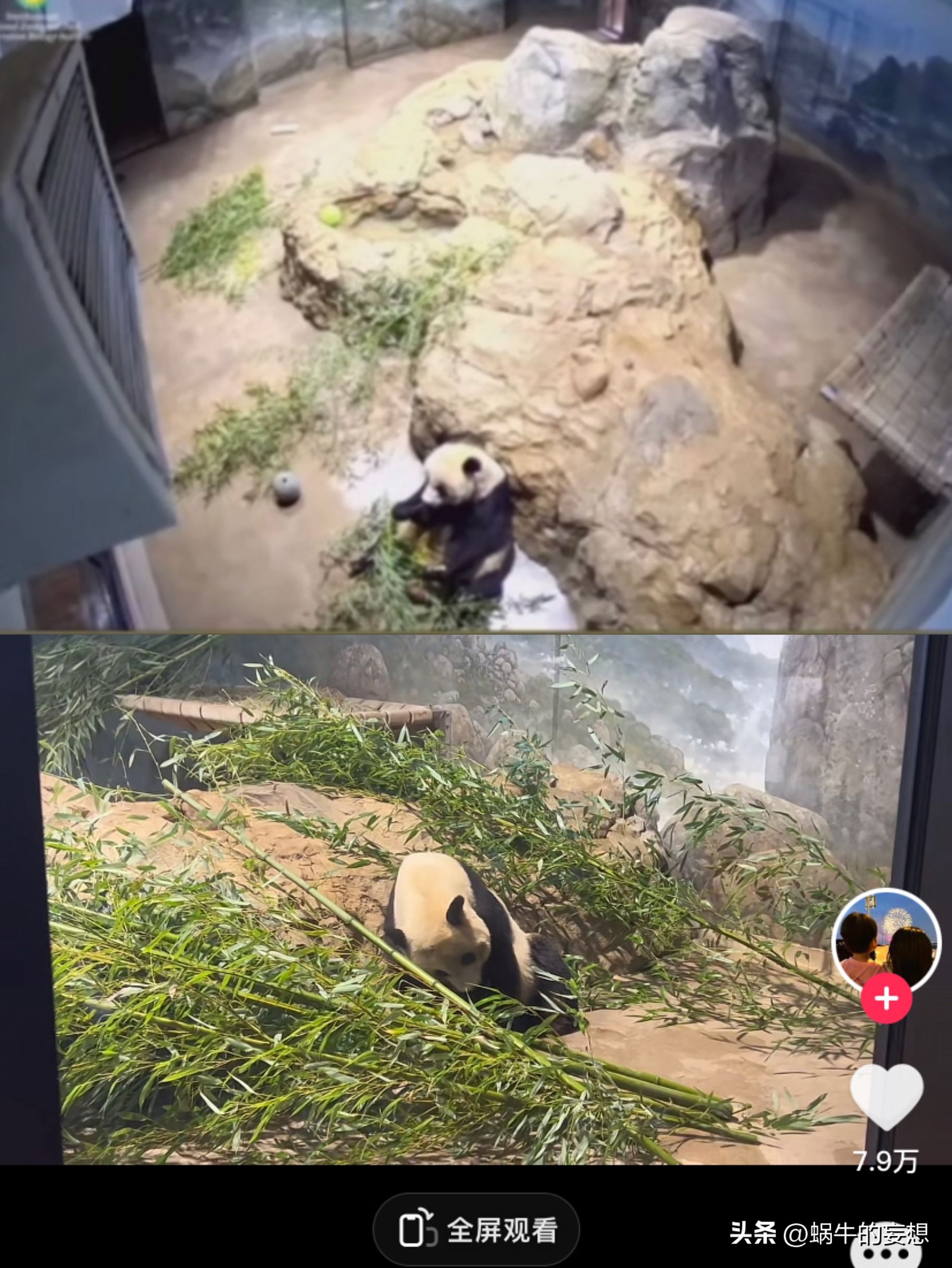 美香一家状况令人担忧,美香得了啥病