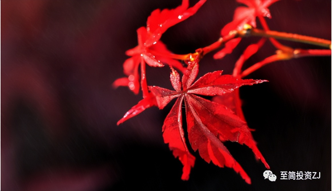 孟德稳新手期货交易教程,孟德稳期货教学视频完整版