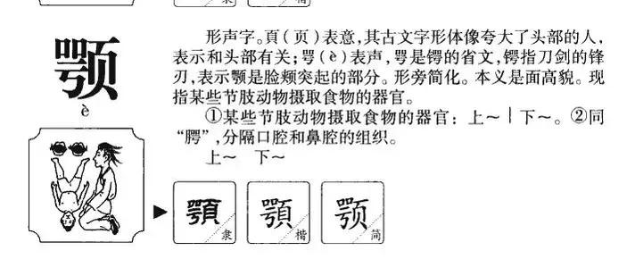 趣味词源,还有哪些有趣的词源旅行