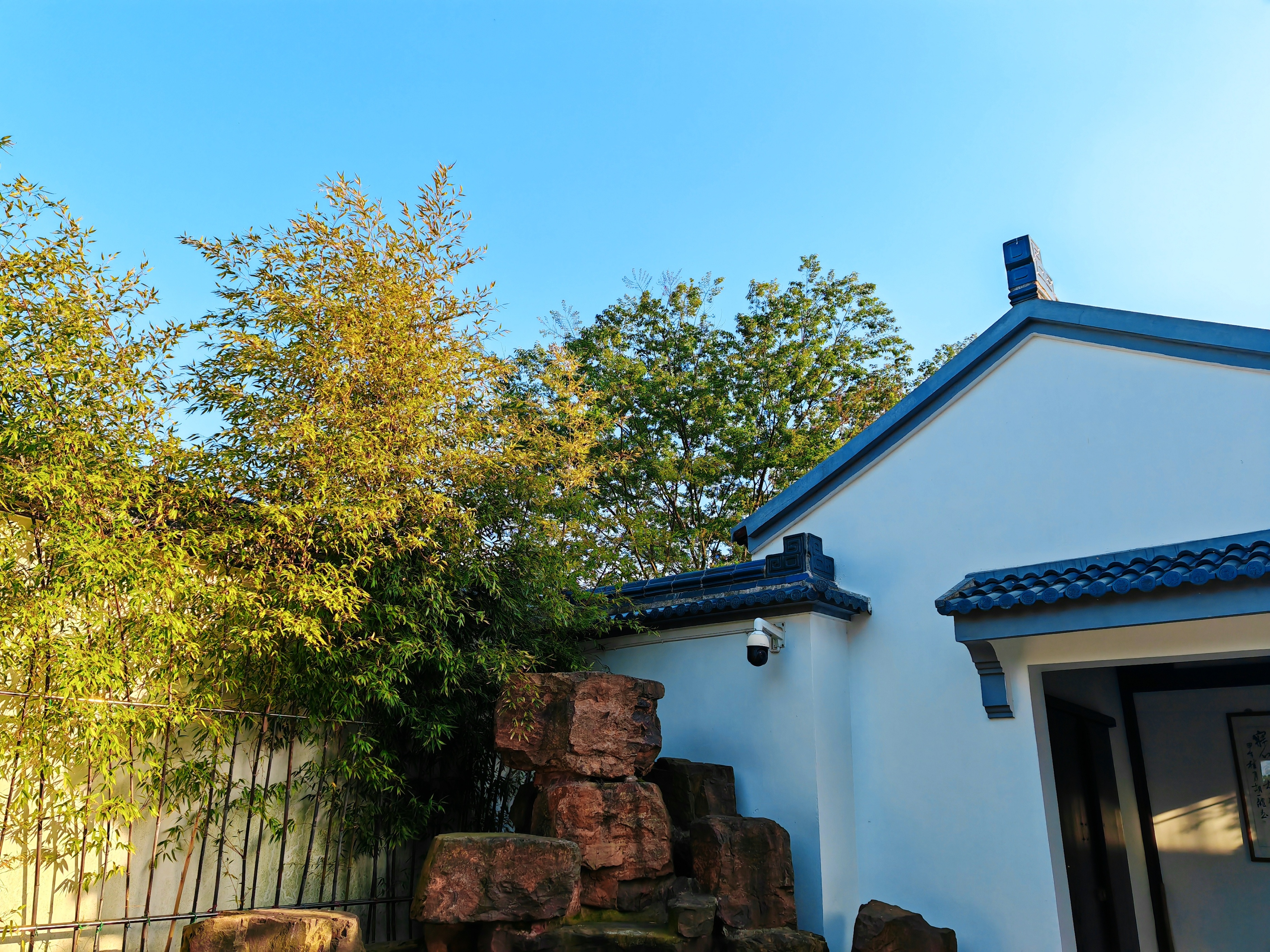 为什么国产手机拍照会模糊,国产旗舰手机为什么喜欢拍照