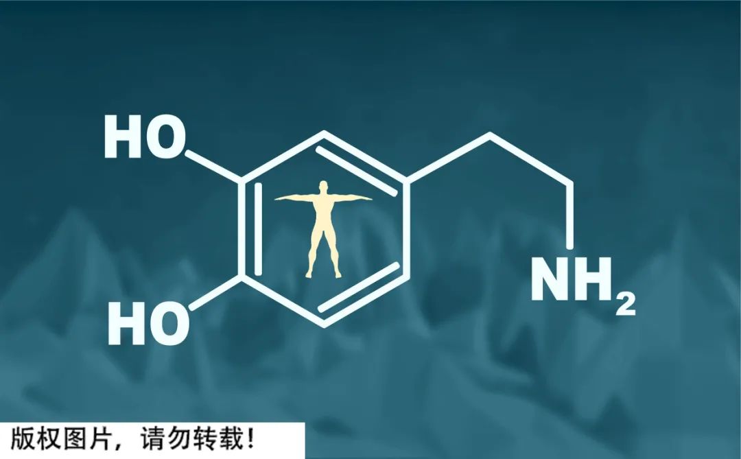 *袜丝**最初竟是为男性设计的!为什么充满诱惑?正经的科普来了