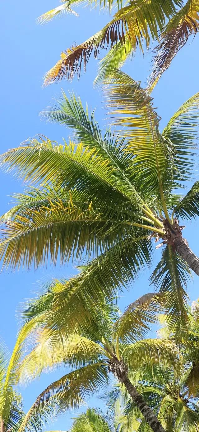 美丽的碧海蓝天壁纸,2018蓝色大海夏天壁纸