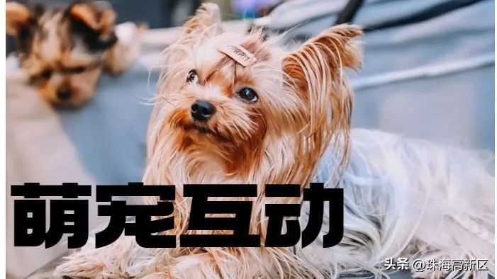 珠海高新区免费游玩攻略,珠海惊险刺激游玩