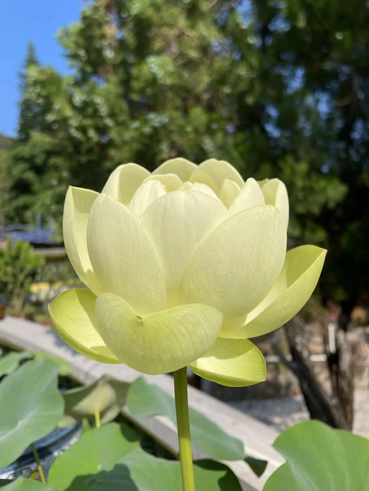 老人的生活简单,老人的生活