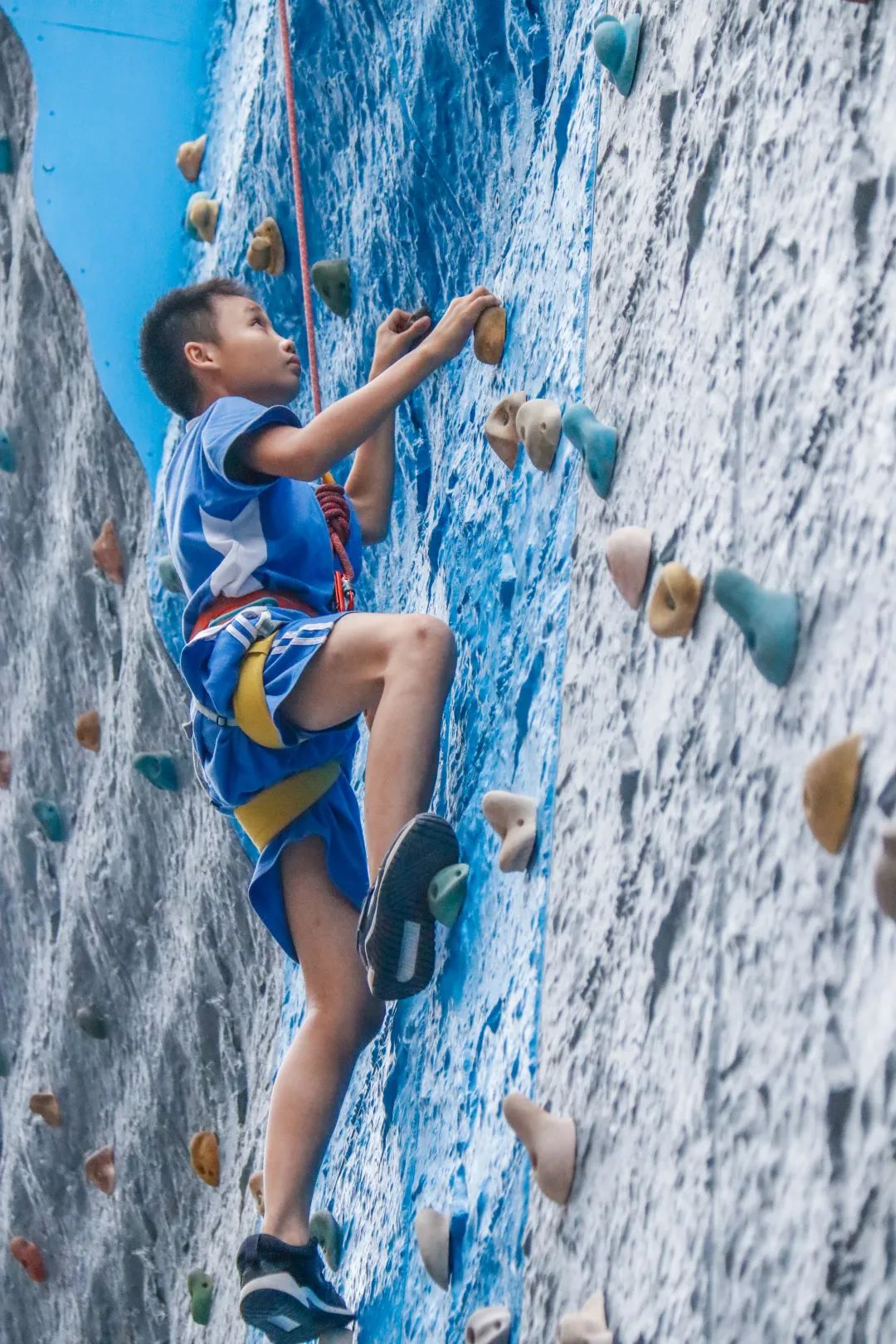 德琳学校怎么样,德琳学校学费一览表