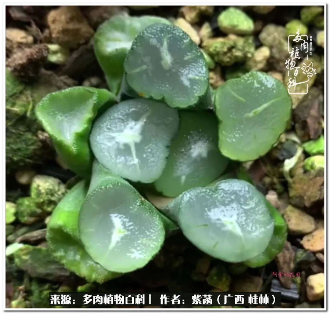 酷暑里的关爱，如十二卷般透亮绵长