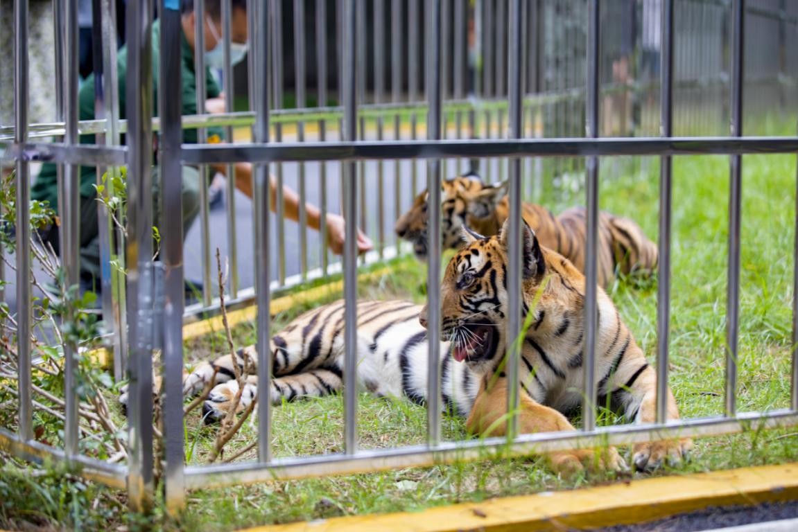 探秘韶关,魅力韶关之旅
