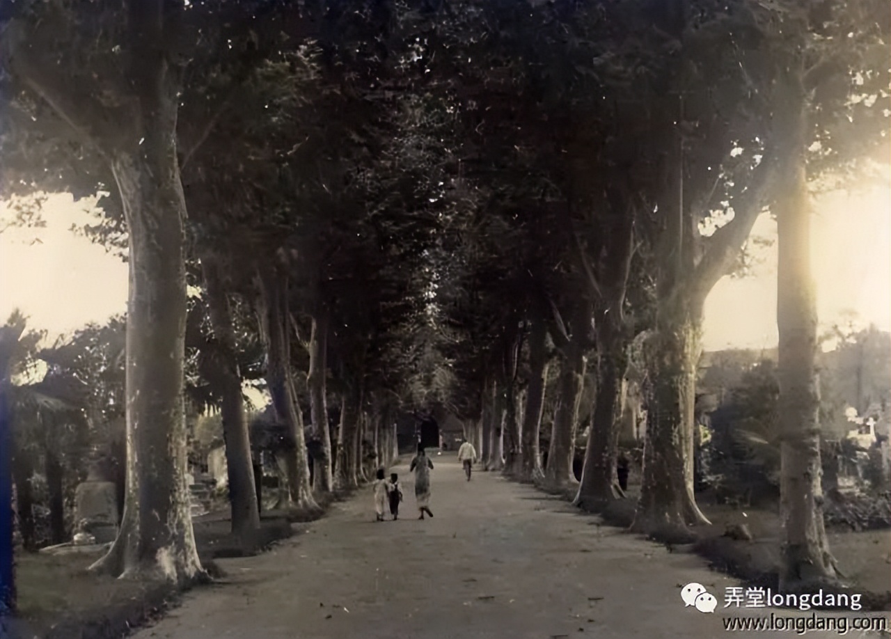 兆丰洋行,兆丰属于上海吗