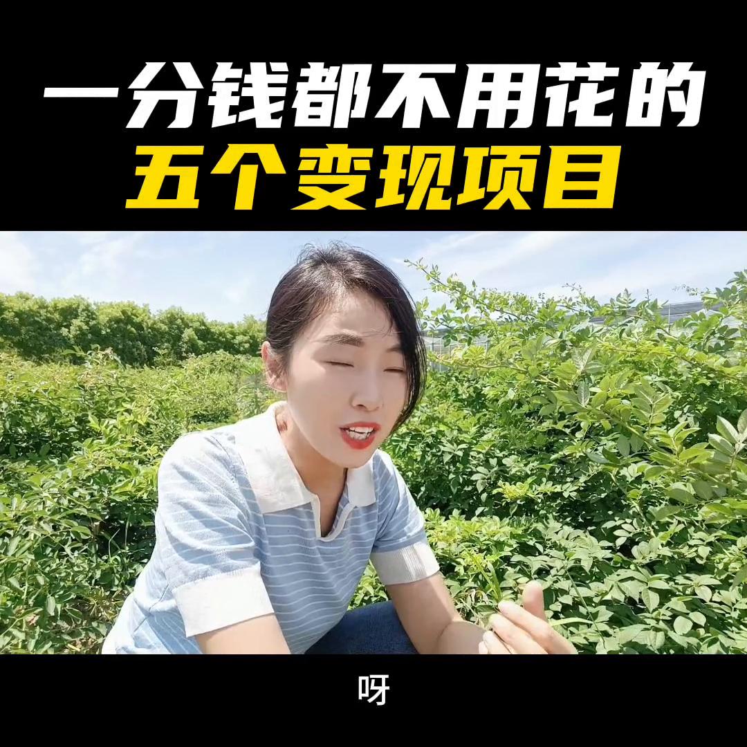 如何做创业型短视频项目,创业短视频干货教程热门项目