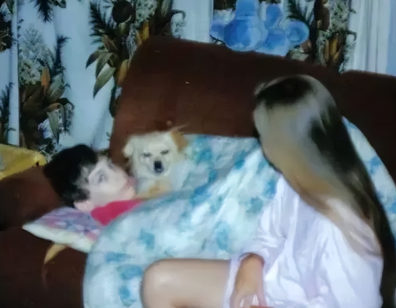 马丁被困在身体里12年,幽灵男孩死亡后苏醒