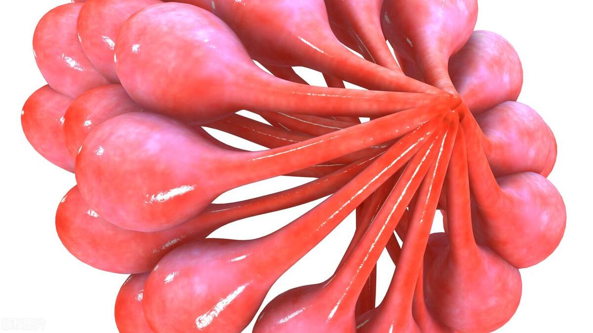 女性的胸，为啥不能乱揉？医生提醒：乱揉或与这4个危害有关。