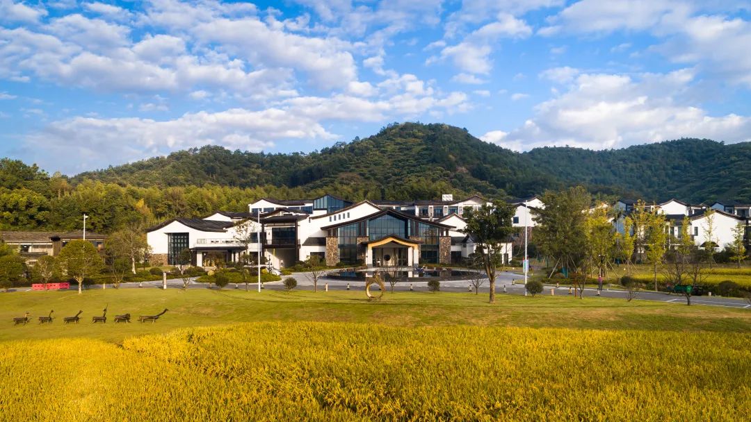 温泉君澜度假酒店双床房,君澜温泉度假酒店攻略