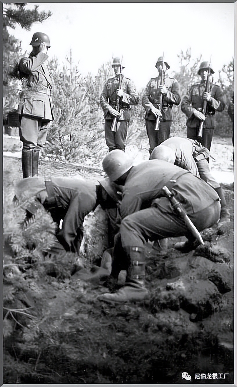 好收吾骨瘴江边全诗,好收吾骨瘴江边翻译