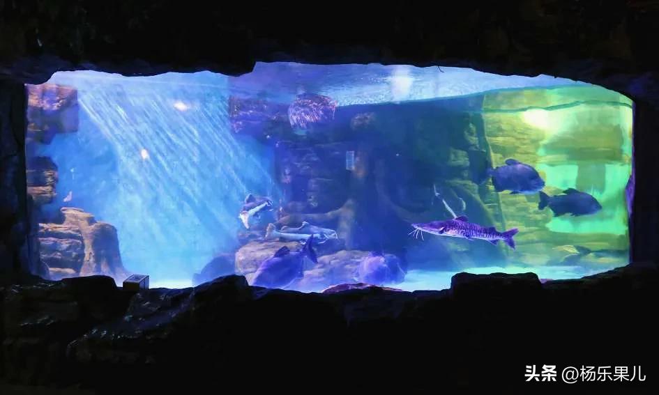 湖南长沙最有名的风景区域,湖南长沙有什么风景点