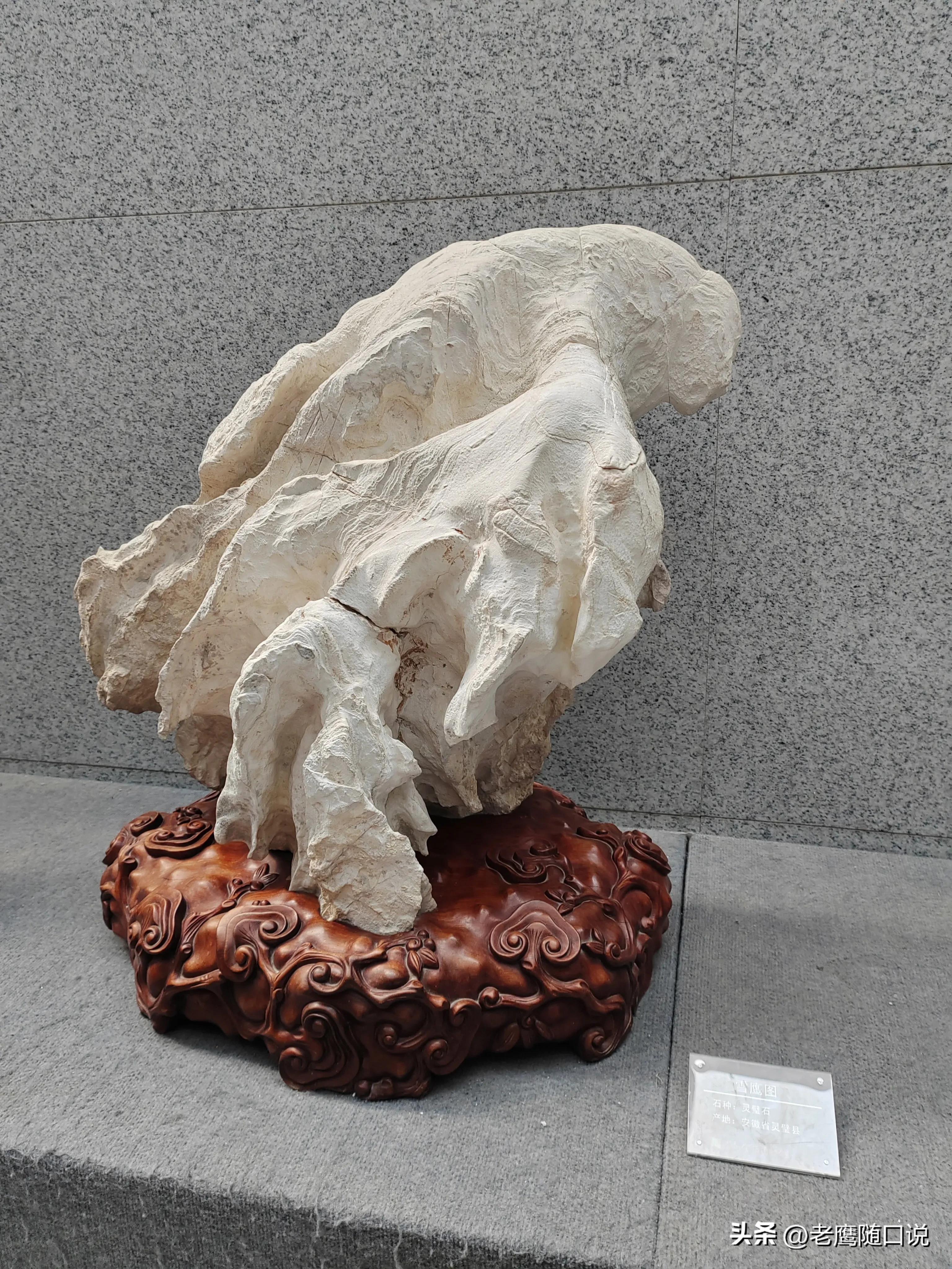 参观青岛博物馆,参观青岛葡萄酒博物馆感受