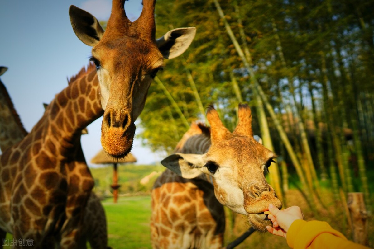 青岛威海旅游攻略自由行带孩子,带娃适合去威海哪些景点