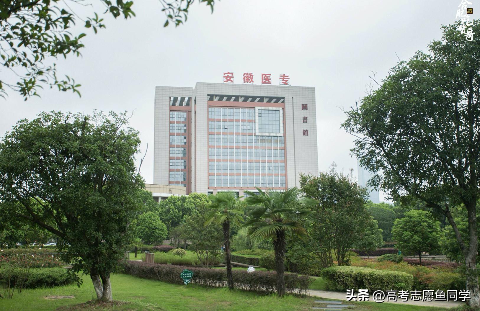 双高计划的医学专科,浙江双高专科院校医学