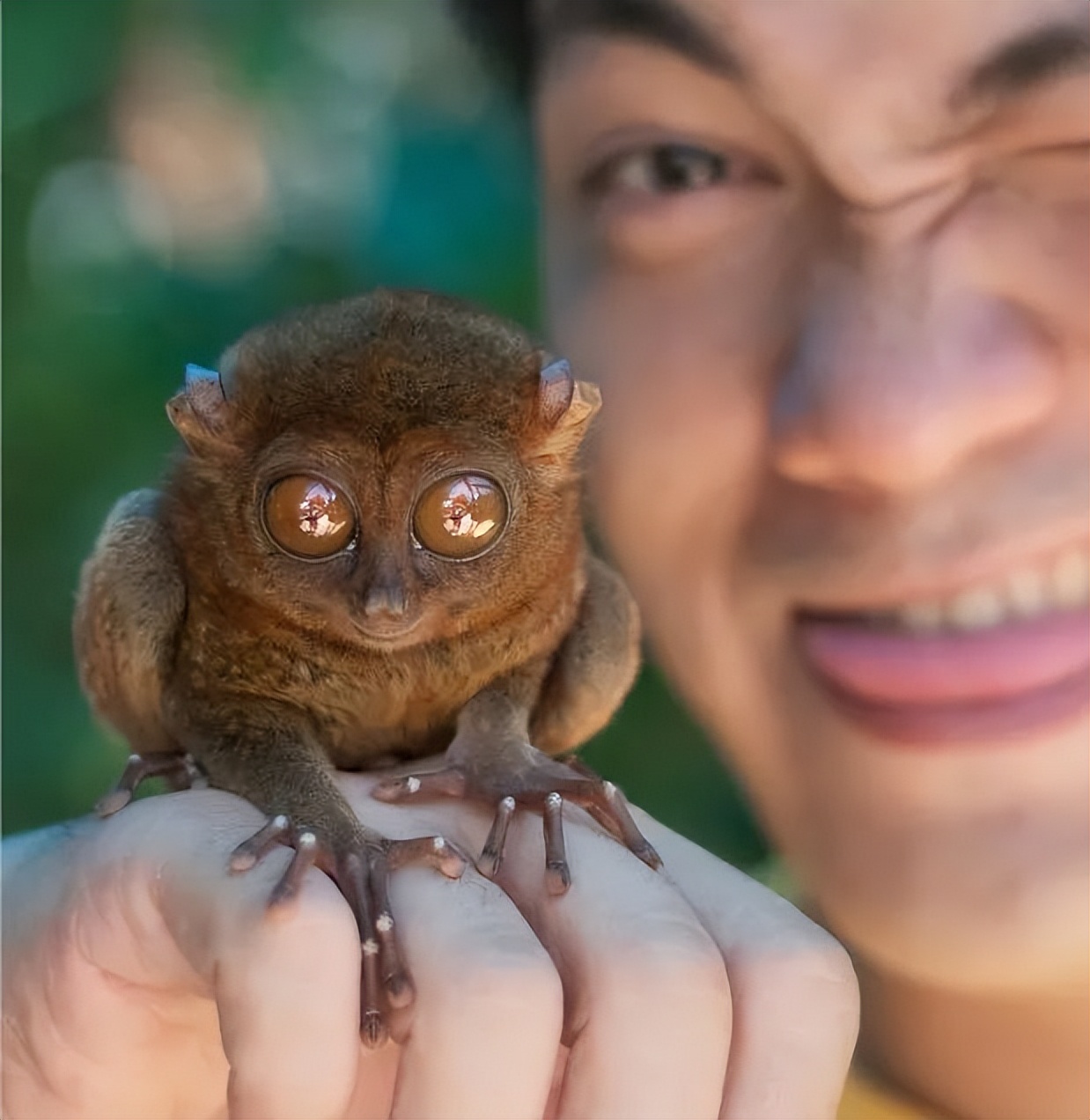 你不知道的国家冷知识也门篇,你不知道的国家冷知识斐济篇