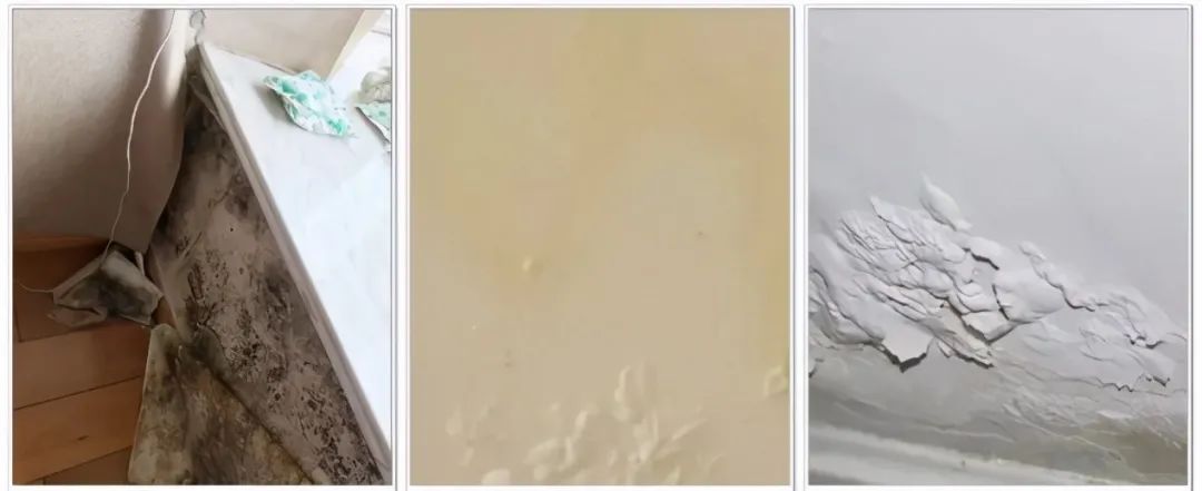 地下室外墙渗漏原因及解决方案,成都工程项目外墙防水渗漏施工