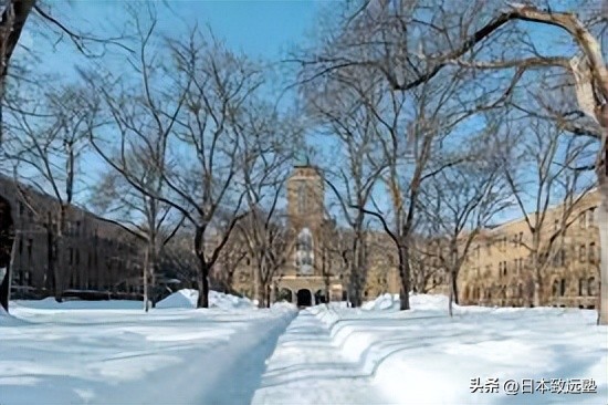 表象文化论|五大国立大学院校推荐修士入试详解！