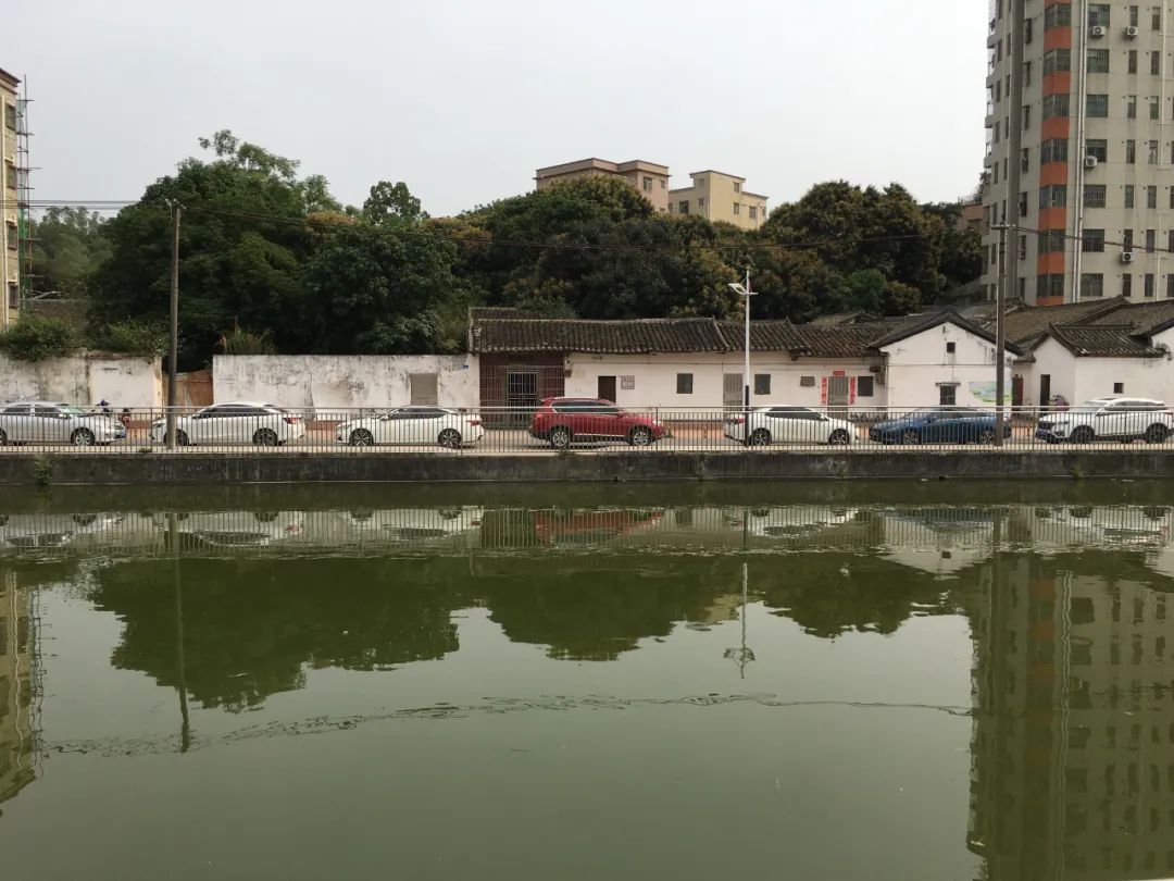 旭光车行雅迪电动车,旭光单车