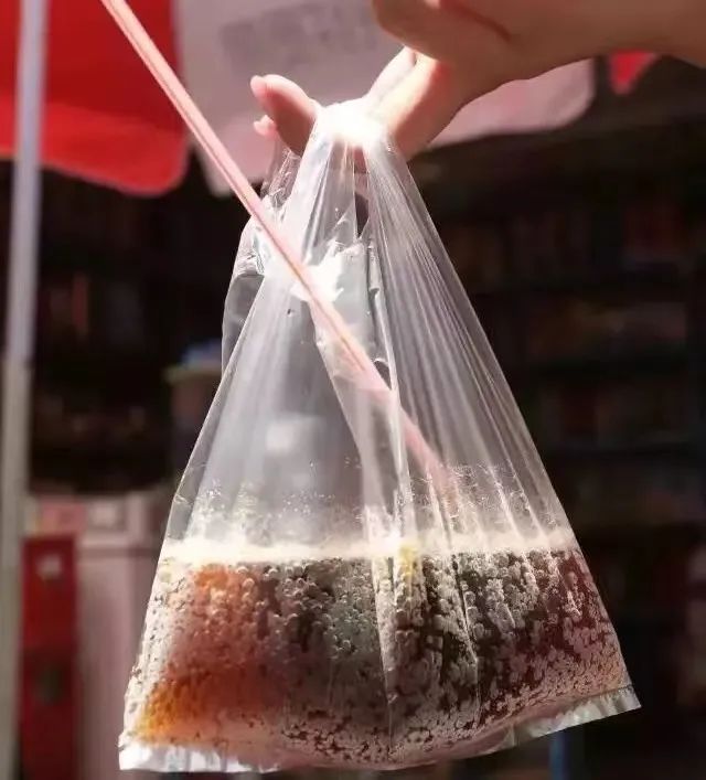 广州便利店遍地开花，士多终有一日会被取代吗？