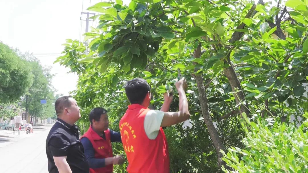 村民笑容满面,村民笑得开心