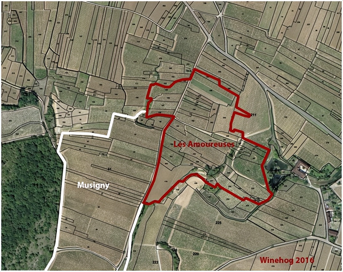 勃艮第最贵大区,勃艮第最贵的葡萄酒