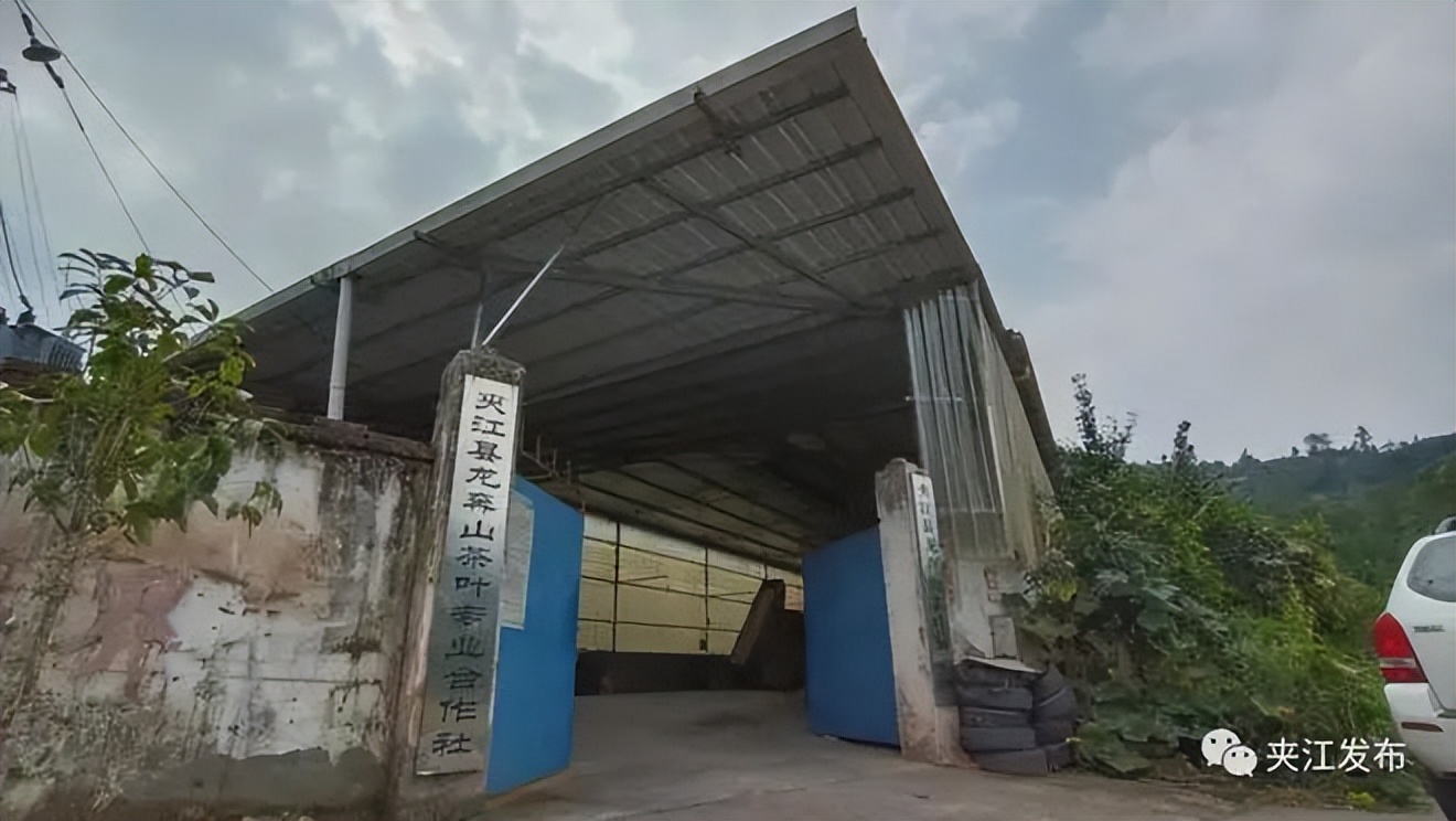 就业宣传年|乐山残疾游泳冠军变身创业之星