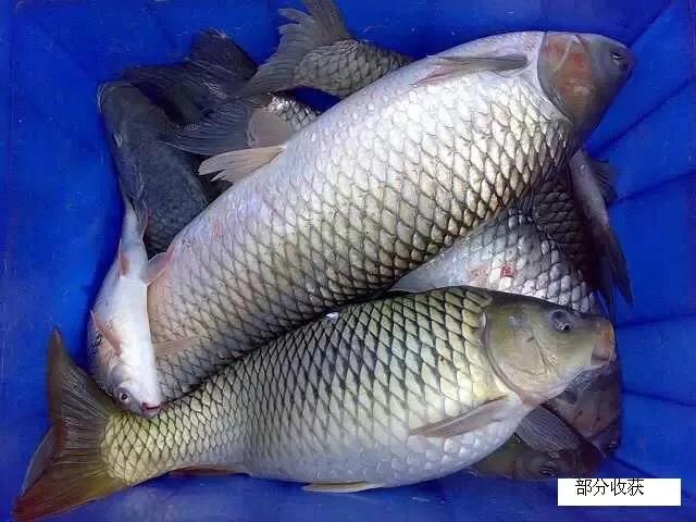 九台其塔木北山,九台其塔木镇景点