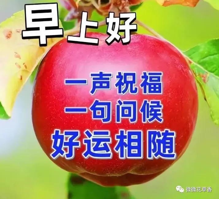 祝福朋友身体永远健康早上好图片,祝福平安健康幸福的早上好问候语