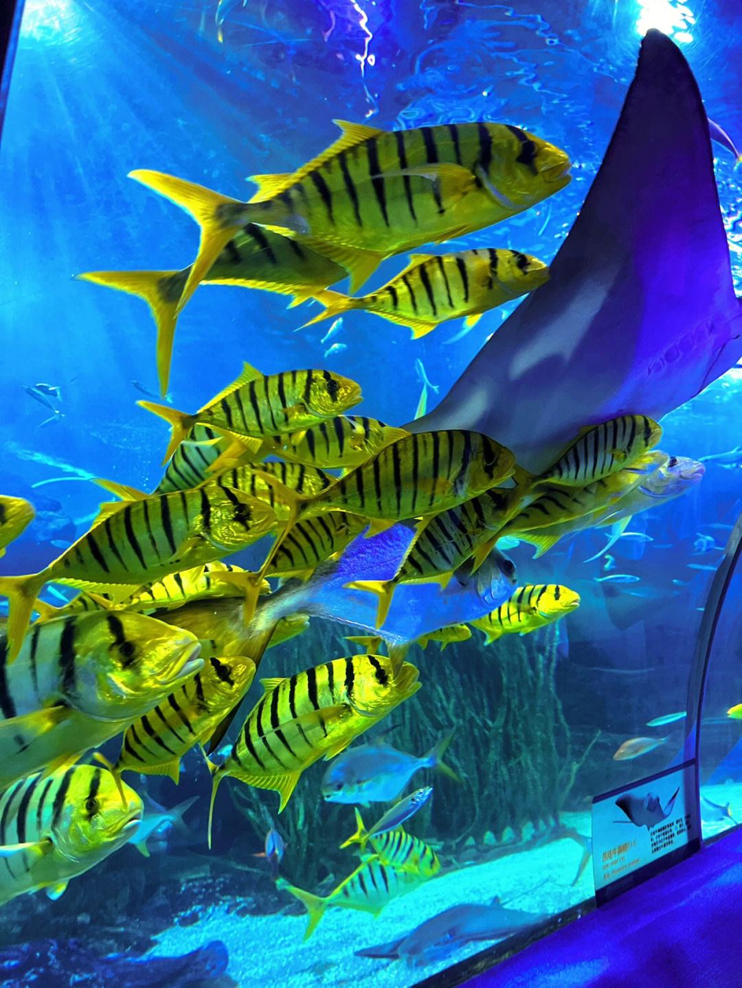 去青岛旅游的感受的短句,到青岛玩一天的说说