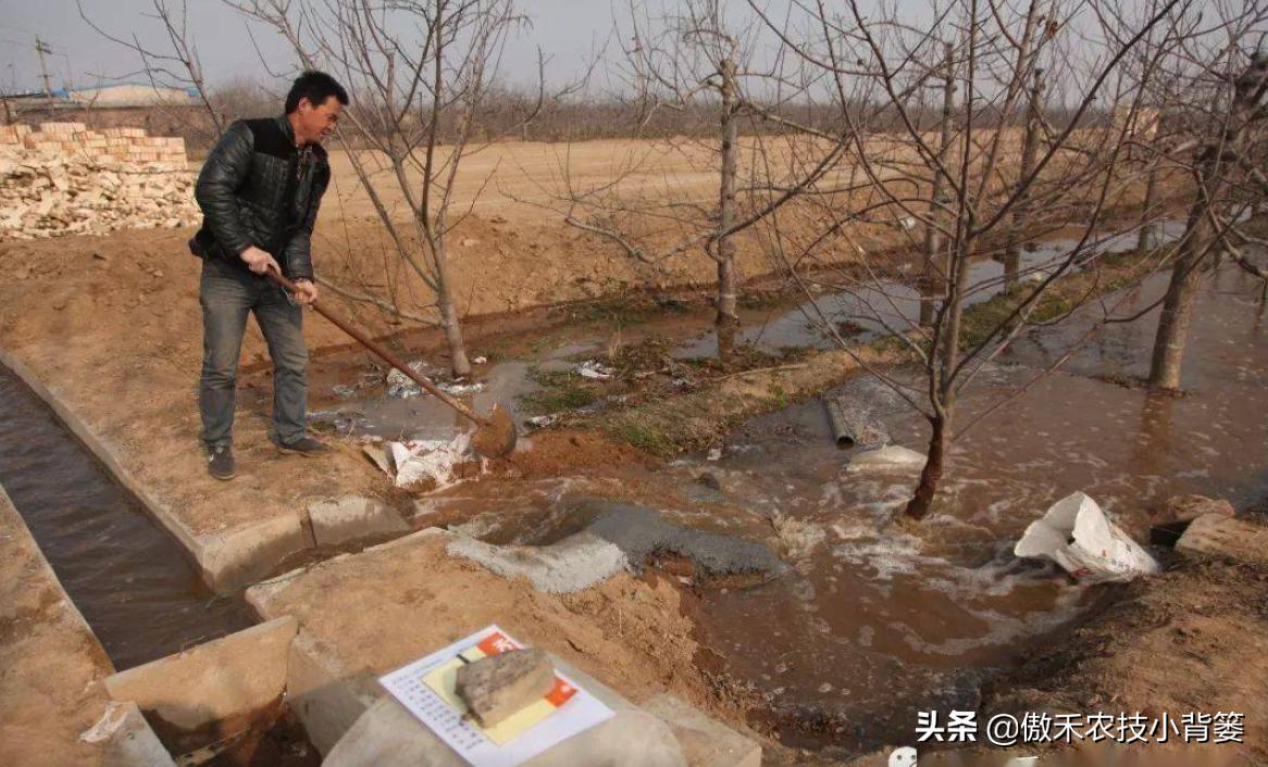 春季果园解冻水啥时浇,果树春天种植后多久浇一次水