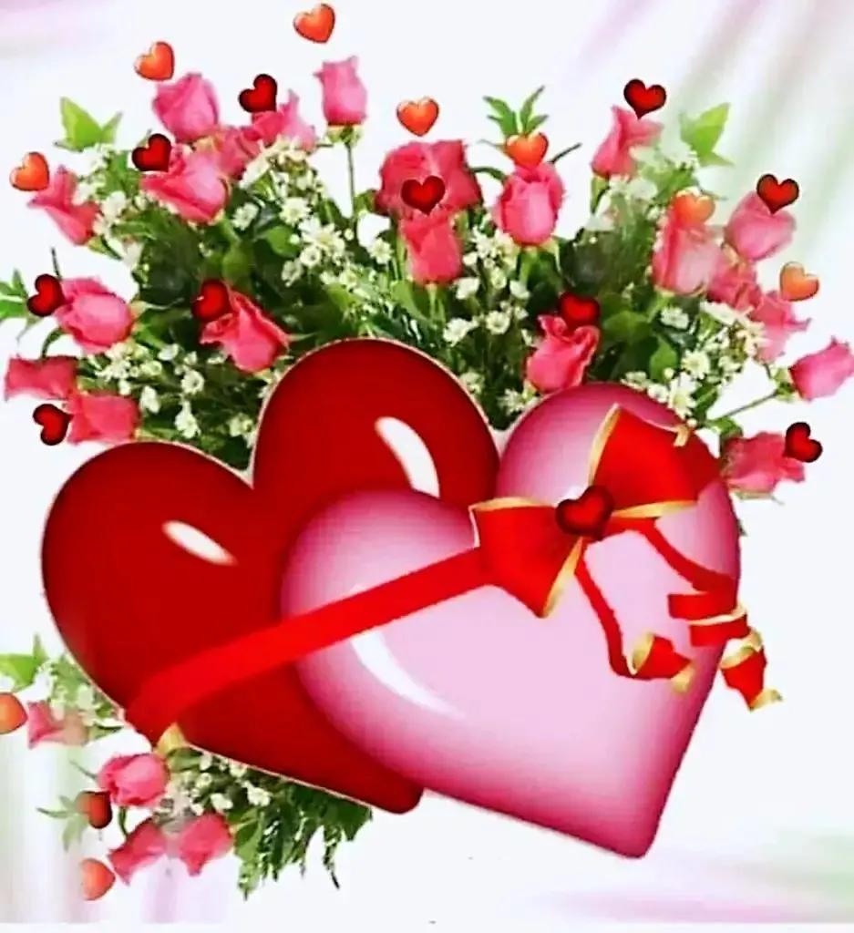 你是我的骄傲，我祝福你