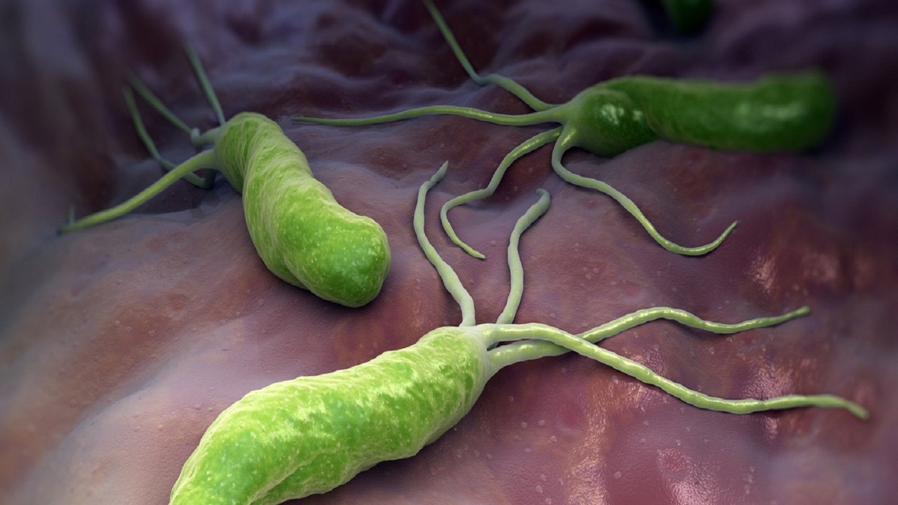 治疗幽门螺杆菌吃4种药太麻烦？医生：新疗法只用两种药